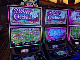 bb22 bet